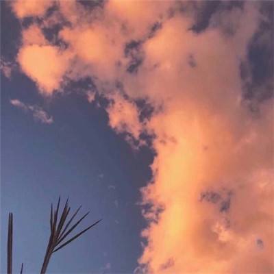 巨龙之痕破解版下载