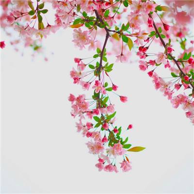 gm工具箱下载安装